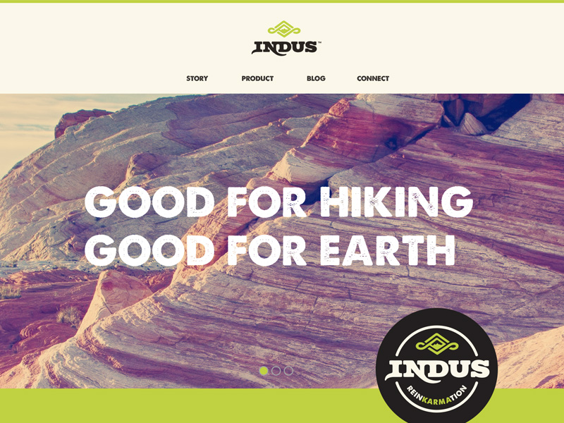 indus website design